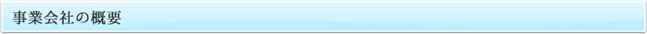 事業会社の概要